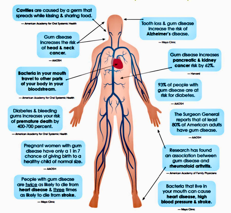 Can Your Teeth Give You A Heart Attack? - Blog # 38