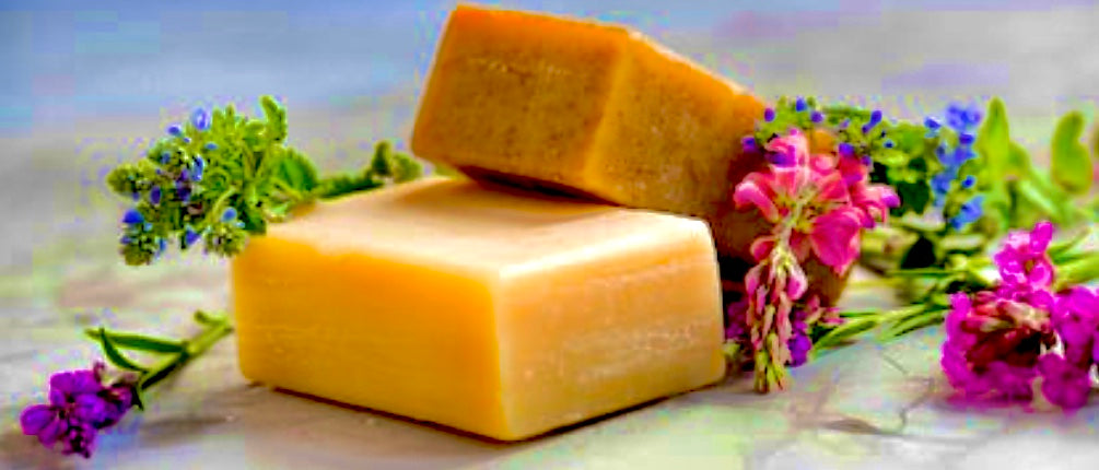 SOAP KILLS Covid-19 Corona Virus!...and other local news -Blog # 15