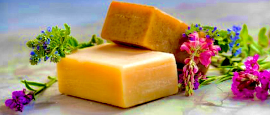 SOAP KILLS Covid-19 Corona Virus!...and other local news -Blog # 15