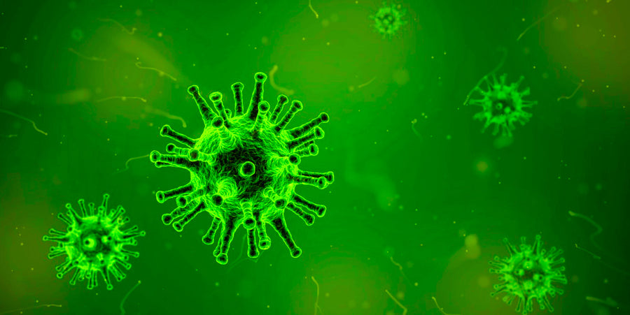 Preventing Flu/Colds/Covid This Season - # HP-EVOO - Blog # 78