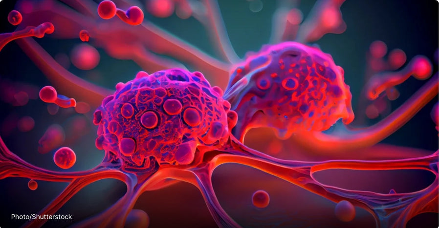 Combatting Cancer - HP-EVOO -Blog # 86