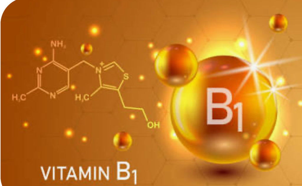 Importance of Thiamine (B1) # HP-EVOO - Blog #109