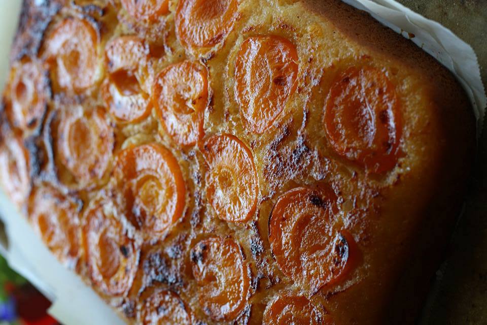 Blenheim Apricot & Olive Oil Cake