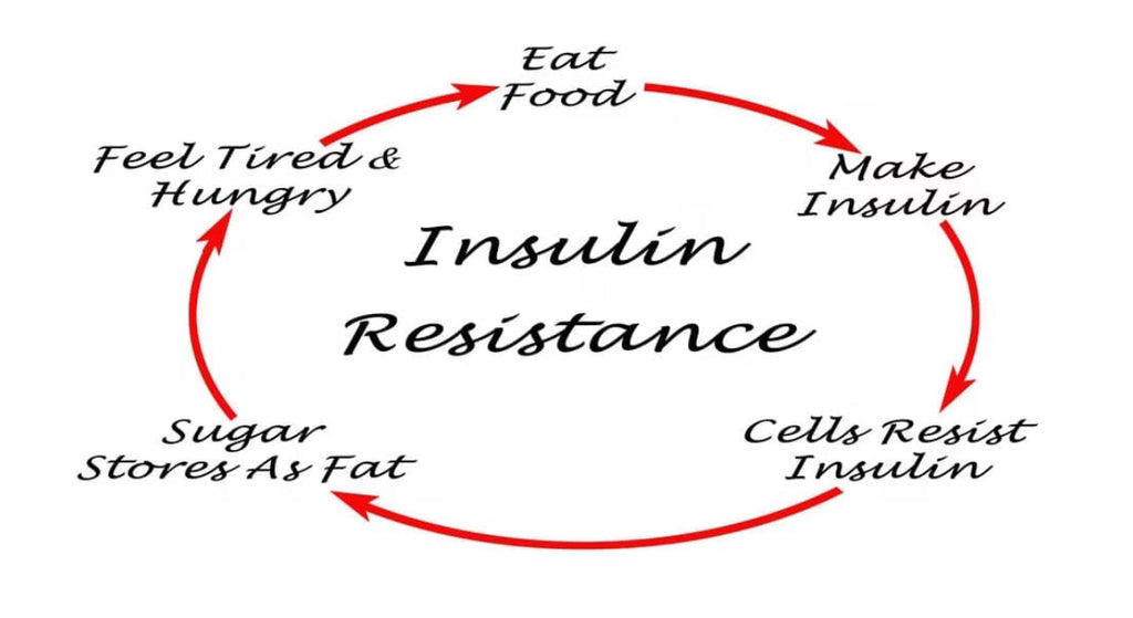 Insulin Resistance and HP-EVOO - Blog # 102
