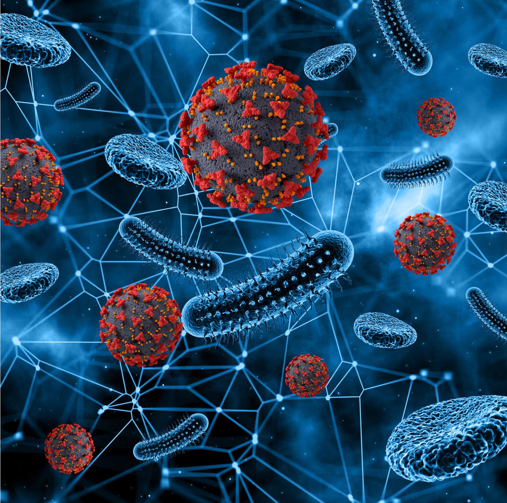 Bacteria Lives Matter! #HP-EVOO - Blog #88